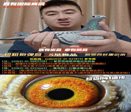 ���̴��ڵ��ơ����������ؽ���