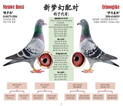 ������x���۴�