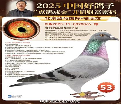 ���˸����ھ�ƽ��