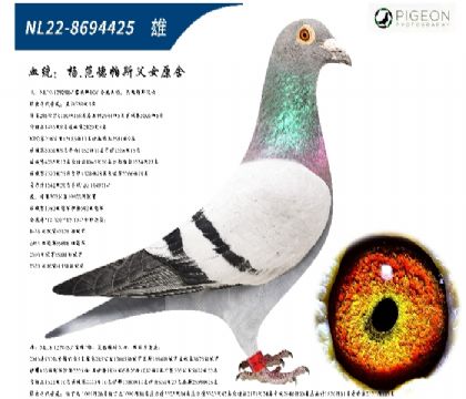 �����˹��Ůԭ�ᣨ�ر��Ƽ���