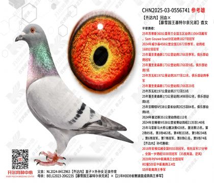 ����ڻ�Ѫ����ѩ�������ض����ֵ�ֱŮ