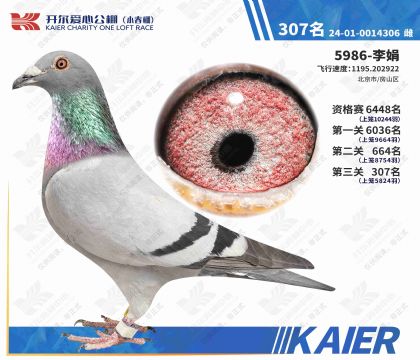 �������Ĺ���С�������307��