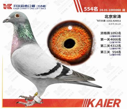 �������Ĺ���������554��