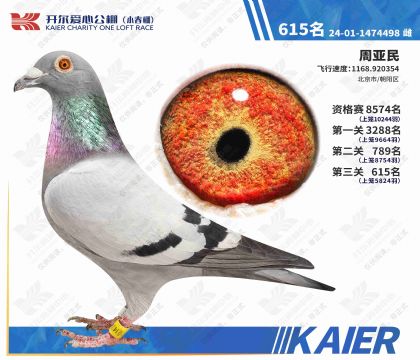 �������Ĺ���С�������615��