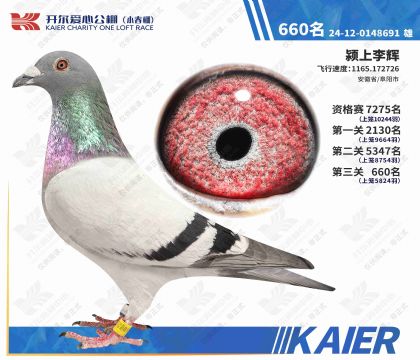 �������Ĺ���С�������660��