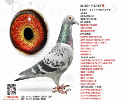 2����NL2024-8412963