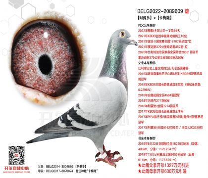 1����22-2089609