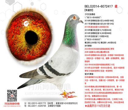 3ĸ��BELG2014-6072417