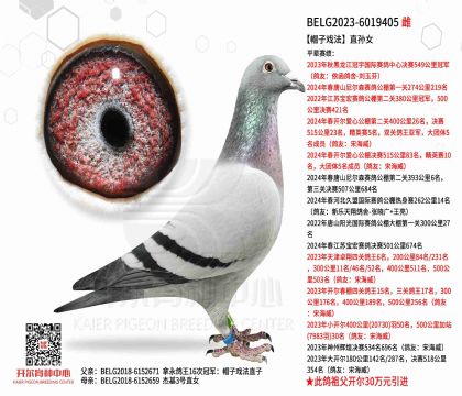 3ĸ��BELG2023-6019405