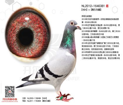 3ĸ��NL2012-1640381