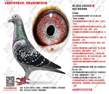 ���͸�NL2016-1663420