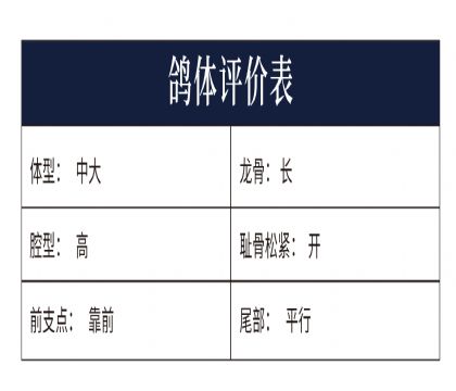 5-0772898����