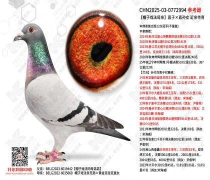 ñ��Ϸ��ĸ��ֱ�ӡ�ֱ��Ů ��������