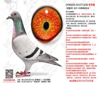 ������ֱ�ӡ�������ֱ��Ů