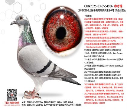 24��KBDBȫ���о����׸���������׽���ֱŮ