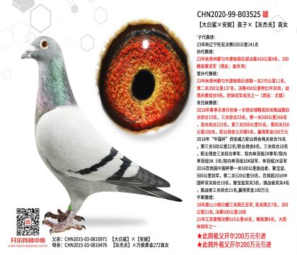 �����������ݡ�ֱ�ӡ��ҽܷ�ֱŮ