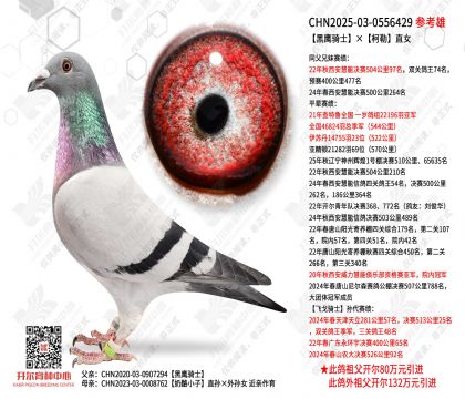 ��ӥ��ʿ������ֱŮ