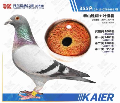 �������Ĺ���С�������355��