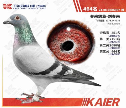 �������Ĺ���������464��