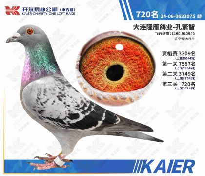 �������Ĺ��С�������720��