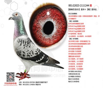 2����BELG2023-2111244