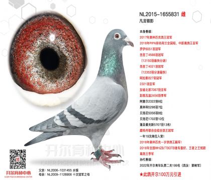 3ĸ��NL2015-1655831