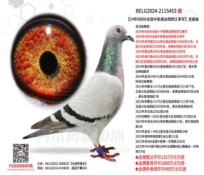 3ĸ��BELG2024-2115453