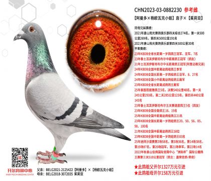 �����������ŷ�߿�С�㡱ֱ�ӡ�������