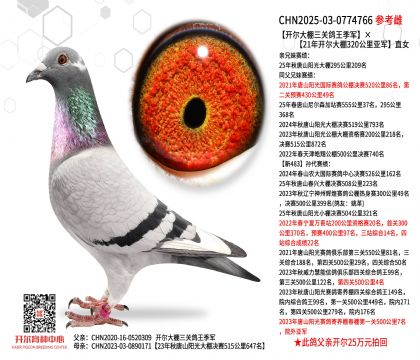 �����������ظ���������21�꿪������320�����Ǿ�ֱŮ