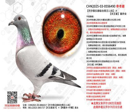 �������ֲ��ۺϸ���11����������ֱ��Ů