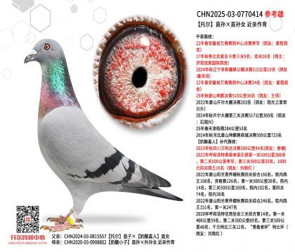 �ж�ֱ���ֱ��Ů ��������