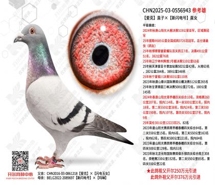 ����ֱ�ӡ��������ֱŮ