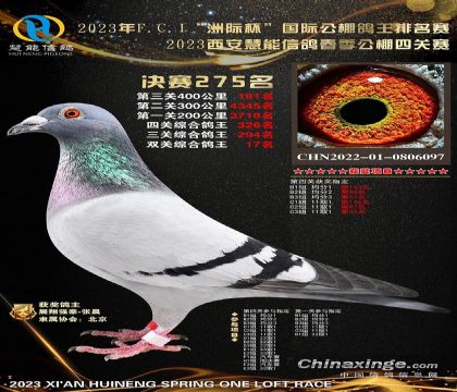 ���������������봺��502�������275��   ��	