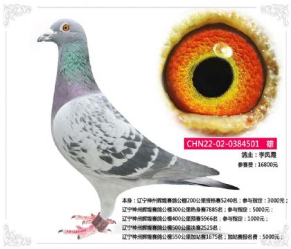 �������ݻԻ����빫��550�����վ��1675��   ��