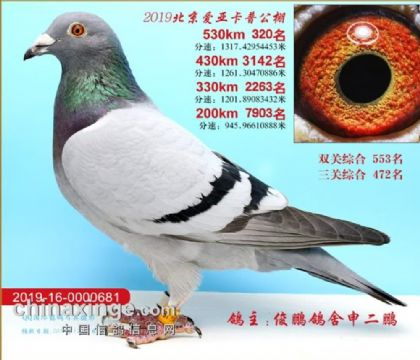 �������ǿ������빫��530�������320��   ��	