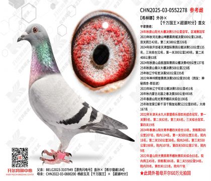 ϣ�����������ǧ�����������ʱ�֡�ֱŮ