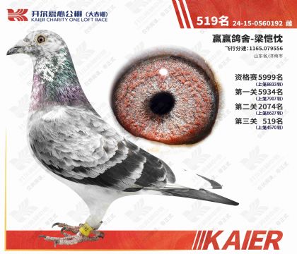 �������Ĺ���������519��