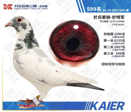 �������Ĺ���С�������599��