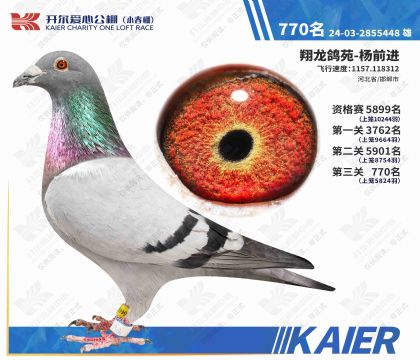 �������Ĺ��С�������770��