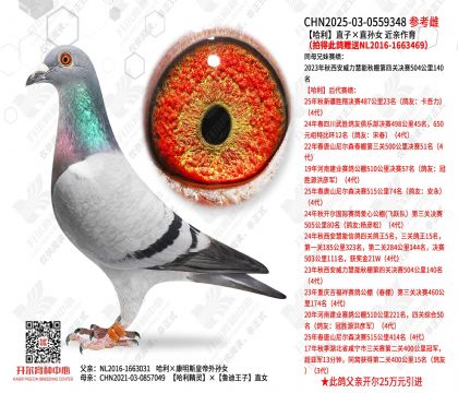 ����ֱ�ӡ�ֱ��Ů ����(�ĵô˸���NL16-1663469��