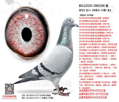 2����BELG2020-2065266