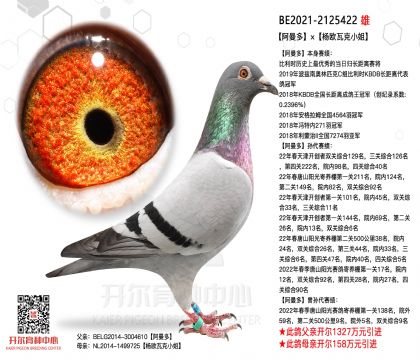 2����-2125422