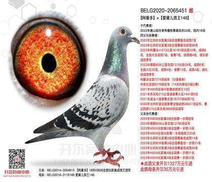 3ĸ��BELG2020-2065451