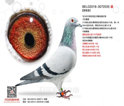 3ĸ��BELG2018-3072035