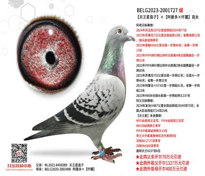 3ĸ��BELG2023-2001727