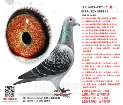 3ĸ��BELG2021-2125573