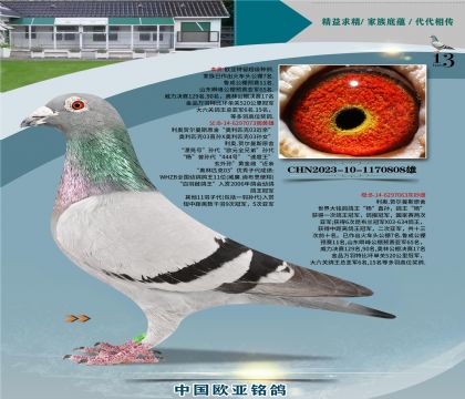 ����ԭ��03����073X��ֱ��Ů063