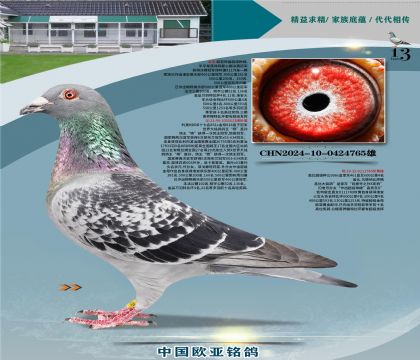 ����851ֱ��622�ھ�X�Ǳ�600��������740