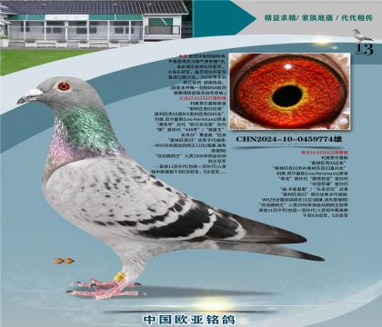 ����ԭ�����ƥ��03˫�ؽ���337x633