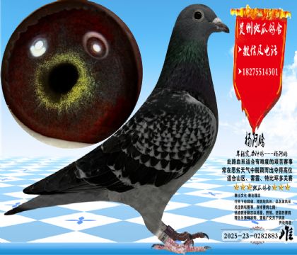 ��ڹ�ͭ�۴ƣ��������ͣ���ɳ��Ҫ��Ư��